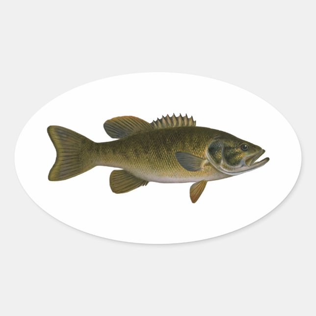 Sticker Ovale Logo de la basse de Smallmouth (Devant)