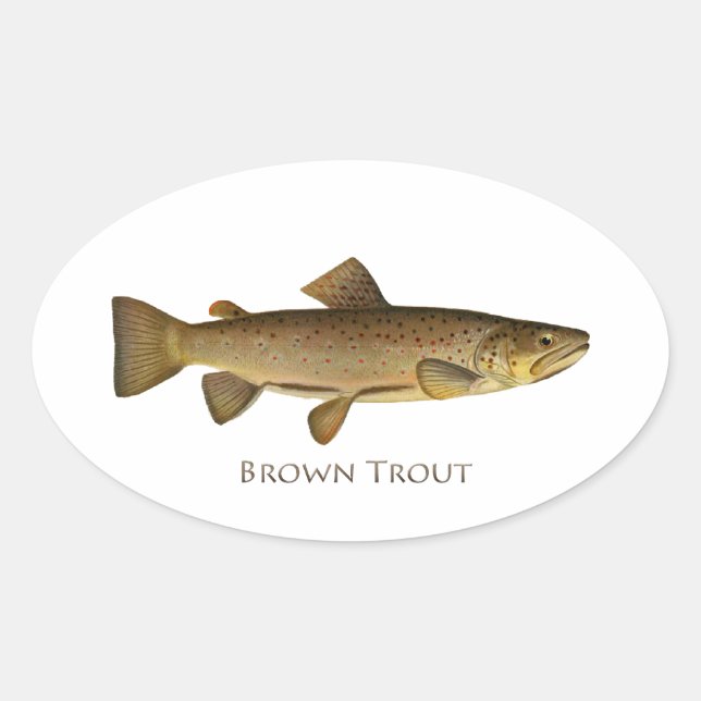 Sticker Ovale Logo de truite Brown (Devant)