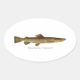 Sticker Ovale Logo de truite Brown