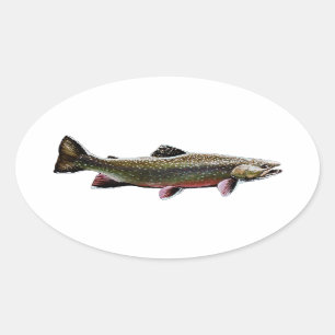 Sticker Ovale Logo de truite de ruisseau (natation)