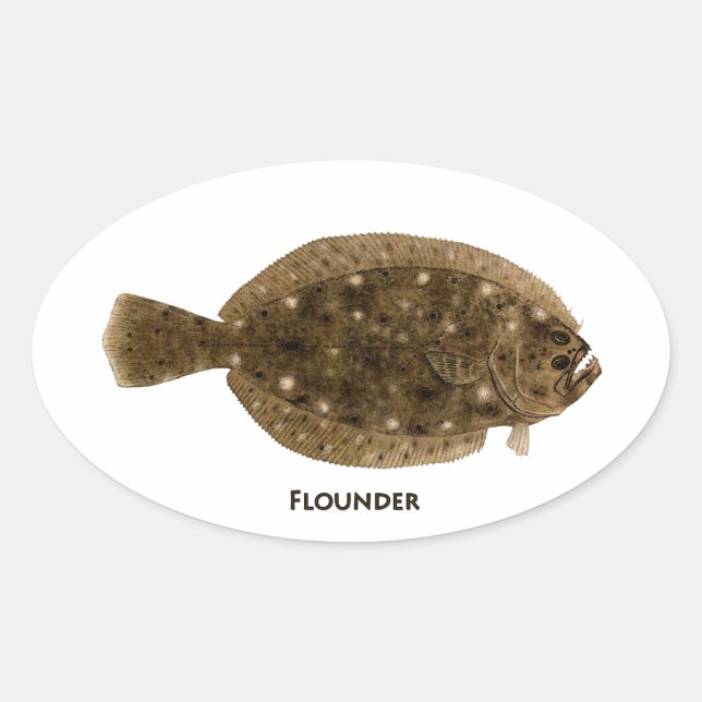 Sticker Ovale Logo Flounder (Devant)