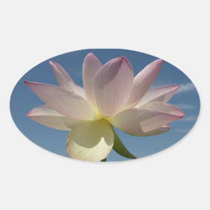 Sticker Ovale Lotus Flower et Blue Sky II