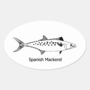 Sticker Ovale Maquereau espagnol - Art Vintage Line