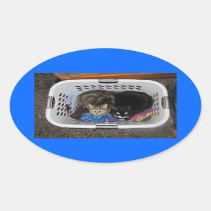 Sticker Ovale Minous de panier de blanchisserie