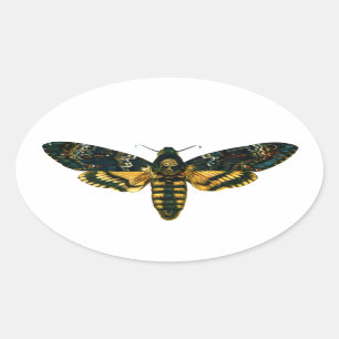Sticker Ovale Mite de la tête de mort