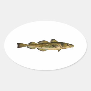 Sticker Ovale Morue atlantique
