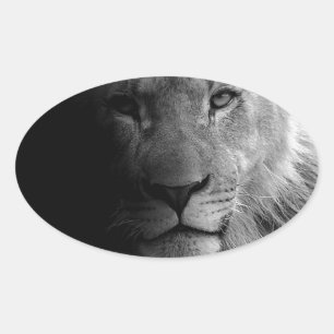 Sticker Ovale Noir Blanc Motivation Leadership Lion Portrait