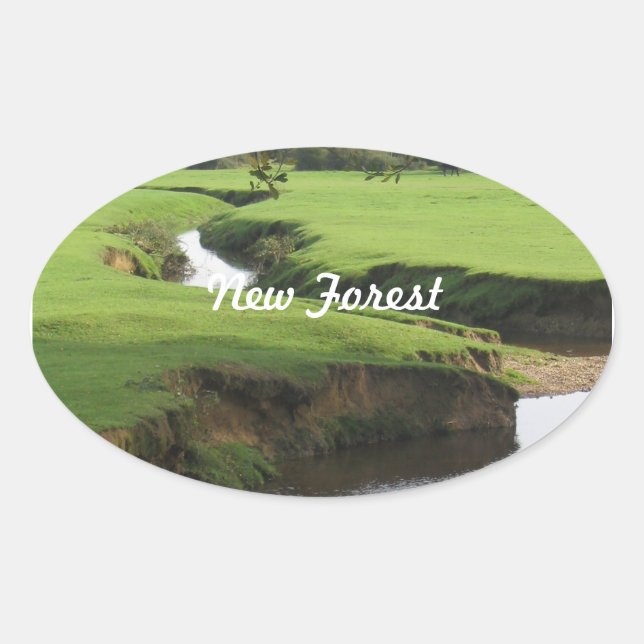 Sticker Ovale Nouvelle forêt (Devant)