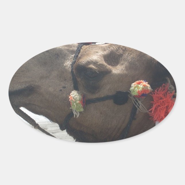 Sticker Ovale Oman Mascate Photo Art (Devant)