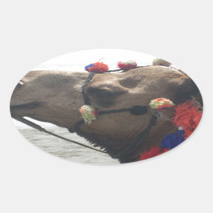 Sticker Ovale Oman Mascate Photo Art