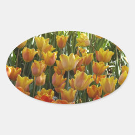 Sticker Ovale Orange-&-Yelow-Tulips.jpg