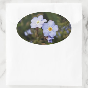 Sticker Ovale Oublie-moi pas les fleurs