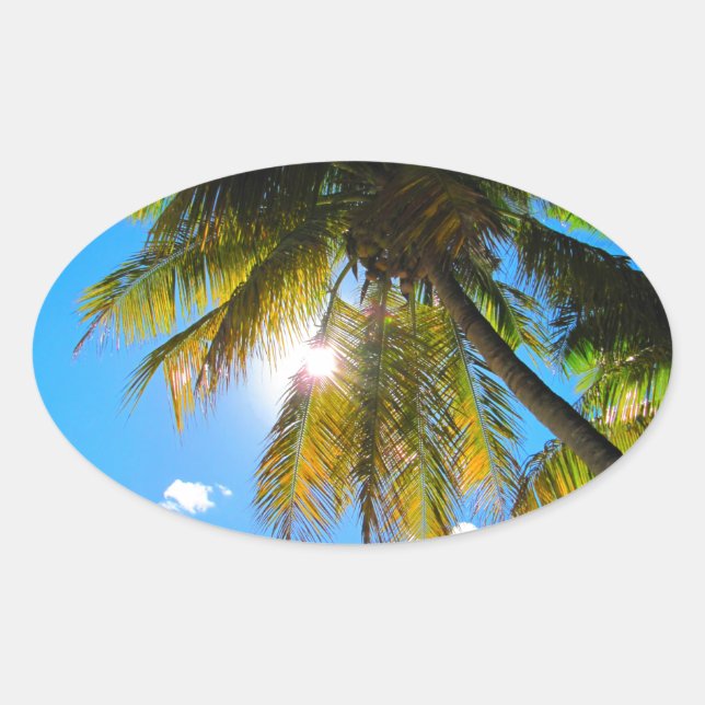Sticker Ovale Palm Paradise Ciel Bleu Soleil (Devant)