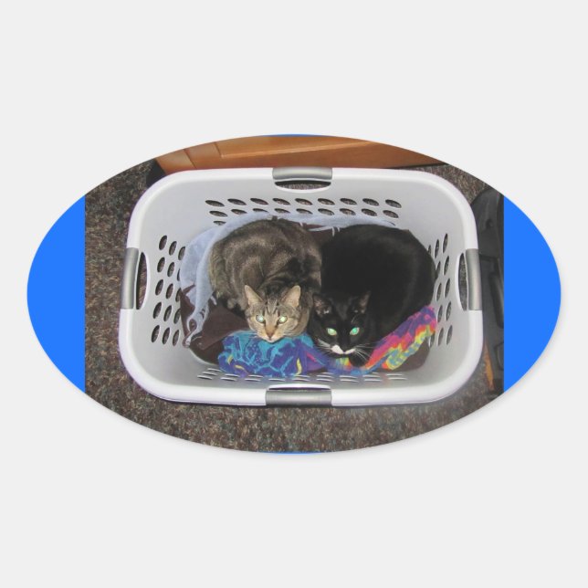 Sticker Ovale Panier de blanchisserie Kitties (Devant)