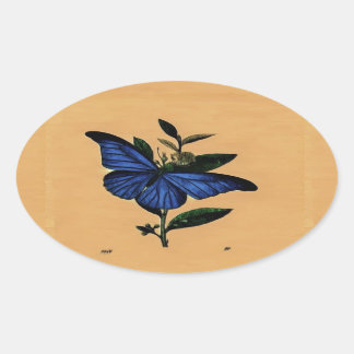 Sticker Ovale Papillon Bleu