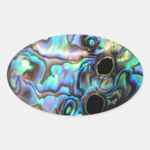 Sticker Ovale Paua abalone bleu et vert détail coquille