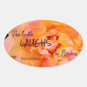 Sticker Ovale Peach Yellow Pink Blé Rose Photo