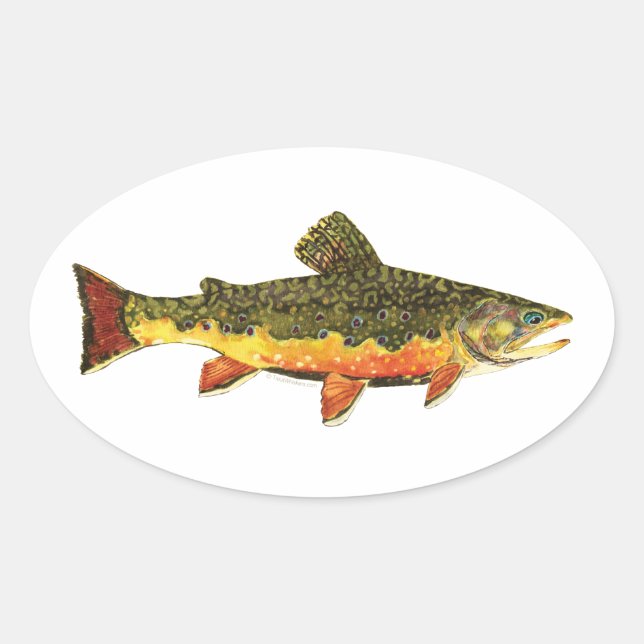 Sticker Ovale Peinture de poissons de truite broyée (Devant)