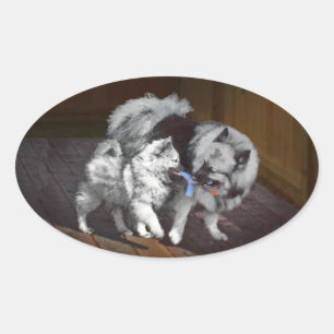Sticker Ovale Peinture Keeshond Playtime - Jolie art original ch