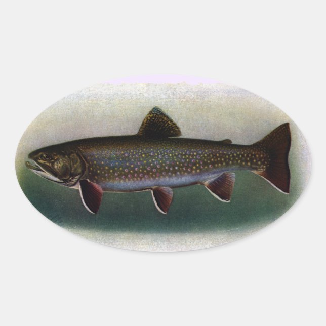 Sticker Ovale Peinture orientale de truite de ruisseau (Devant)
