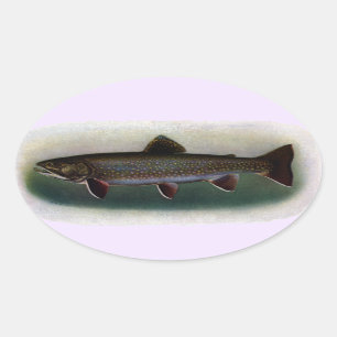 Sticker Ovale Peinture orientale de truite de ruisseau