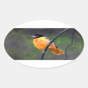 Sticker Ovale Peinture Oriole - Art Oiseau Original
