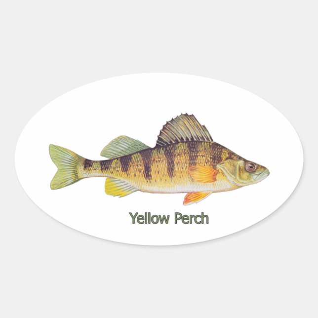 Sticker Ovale Perche jaune intitulé (Devant)
