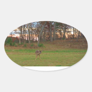 Sticker Ovale Petit cerf et coucher de soleil rose
