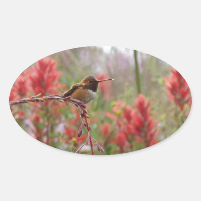 Sticker Ovale Petit oiseau gras (Devant)