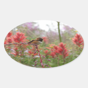 Sticker Ovale Petit oiseau gras