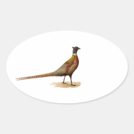 Sticker Ovale Pheasant à cou cerf