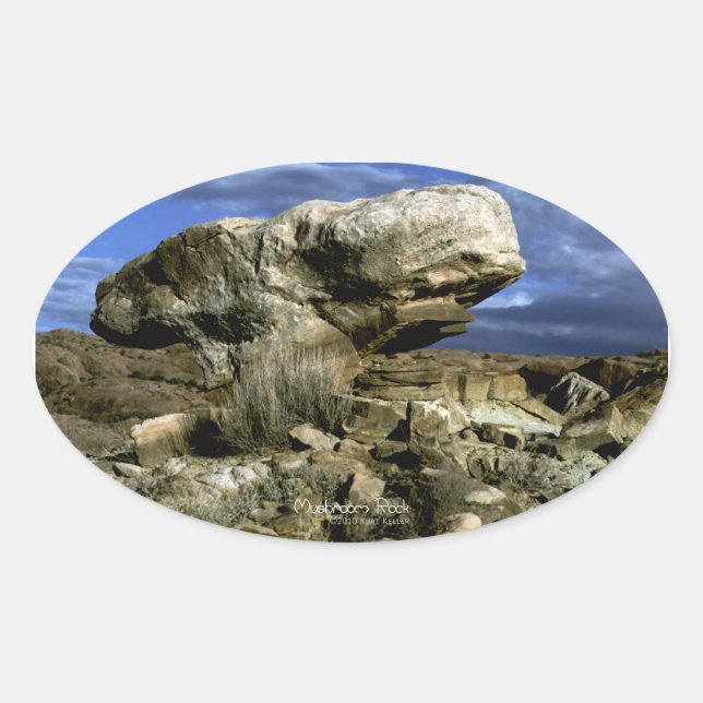 Sticker Ovale Photo couleur roche de champignons (Devant)