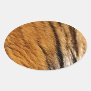 Sticker Ovale Photo Tiger Stripes Big Cat Wildlife