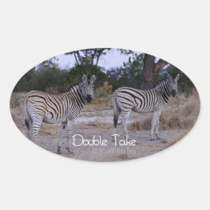 Sticker Ovale Photo Zebra Double Take