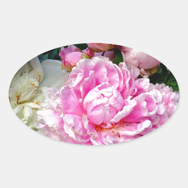 Sticker Ovale Pies roses et blanches (Devant)