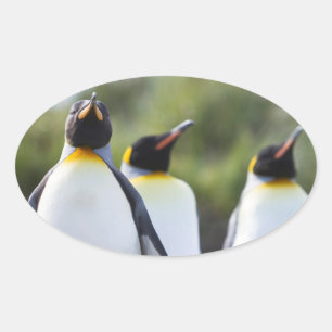 Sticker Ovale Pingouins