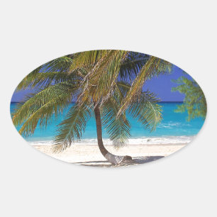 Sticker Ovale Plage de Seven Mile Grand Cayman