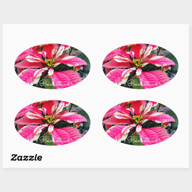 Sticker Ovale Poinsettia [Oval Seal] (Feuille)