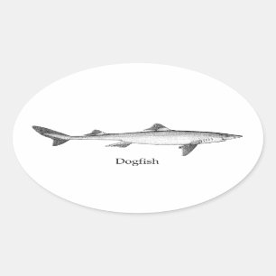 Sticker Ovale Poisson-chien (art à la ligne)