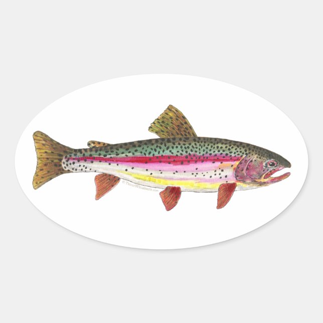 Sticker Ovale Poisson de truite arc-en-ciel (Devant)