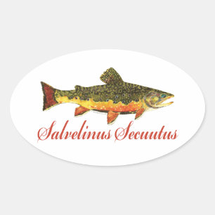 Sticker Ovale Poisson Humoristique, Pêche, Pêche À La Volée