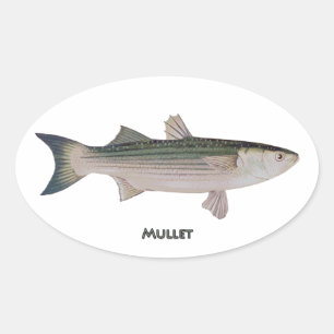 Sticker Ovale Poissons de mulet
