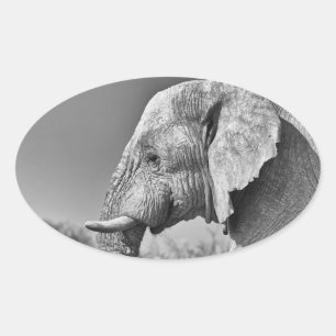 Sticker Ovale Portrait d'éléphant