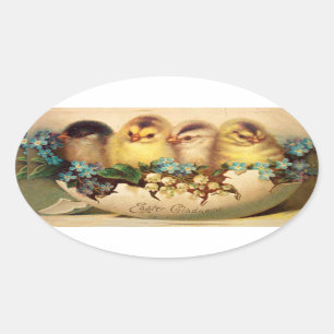 STICKER OVALE POULET AUX FLEURS BLANCHES BLEUES DANS L'OEUF DE P