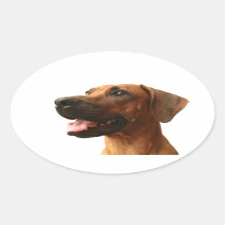 Sticker Ovale Rhodesian Ridgeback