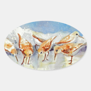 Sticker Ovale Sanderlings Minuscule Aquarelle Plage Oiseaux Béca