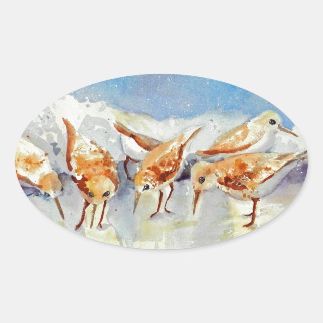 Sticker Ovale Sanderlings Minuscule Aquarelle Plage Oiseaux Béca (Devant)