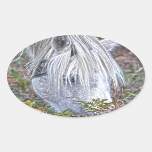 Sticker Ovale Saule blanc Nouvelle Forêt Pony Pacé sur le Bracke