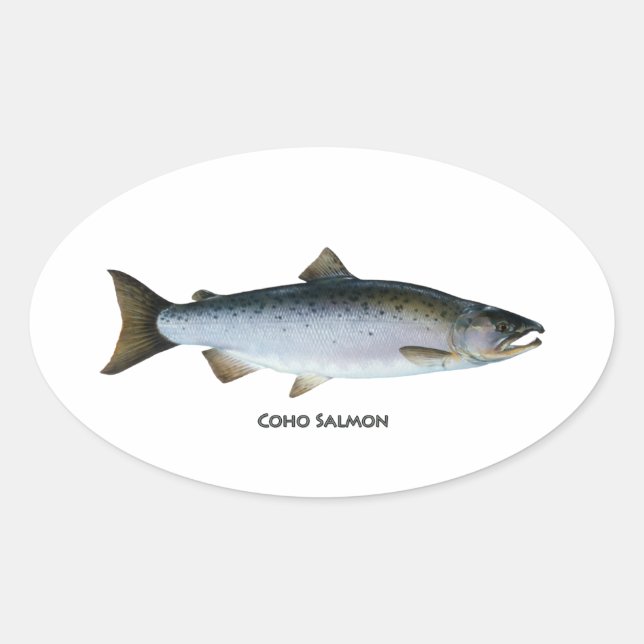 Sticker Ovale Saumon coho (Devant)