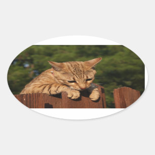 Sticker ovale Savannah Cat